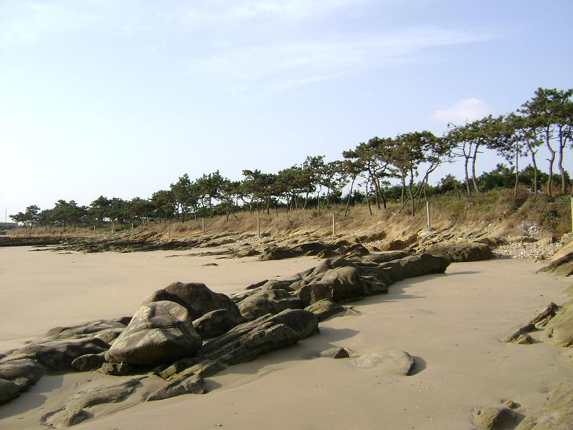 [原创]海边秋景