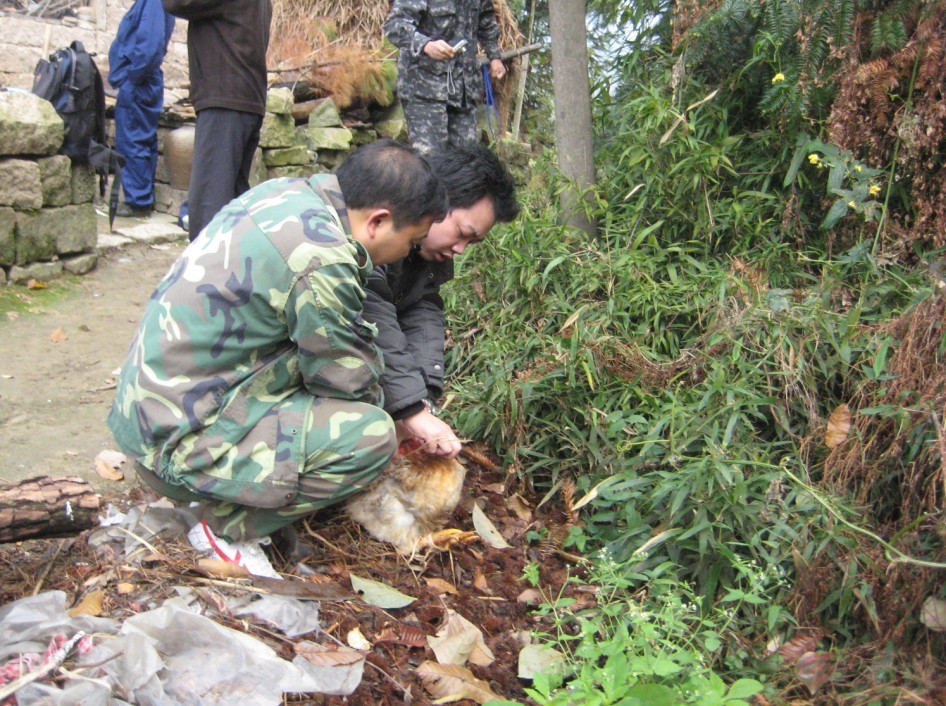 天台驴友俱乐部之-----探秘十门坑