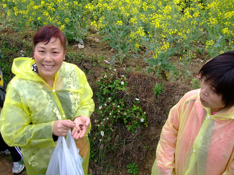 [天台驴友俱乐部]活动之-----走古道.赏油菜花.登莲花峰顶