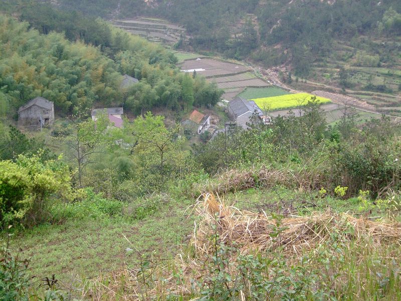 [天台驴友俱乐部]活动之-----走古道.赏油菜花.登莲花峰顶