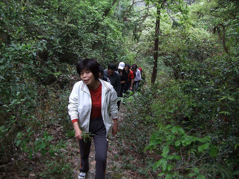[天台驴友俱乐部]活动之---小走南山小岭