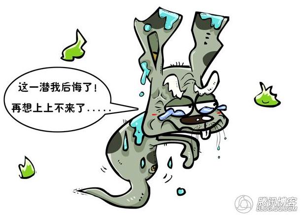 [分享]兔子系列笑话：史上最牛的潜水员