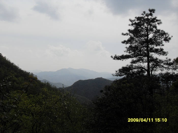 采兰深山中
