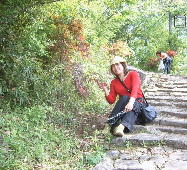 金鸡岭--塔头寺--高明寺