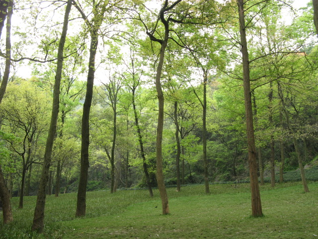 我驴我乐山水间