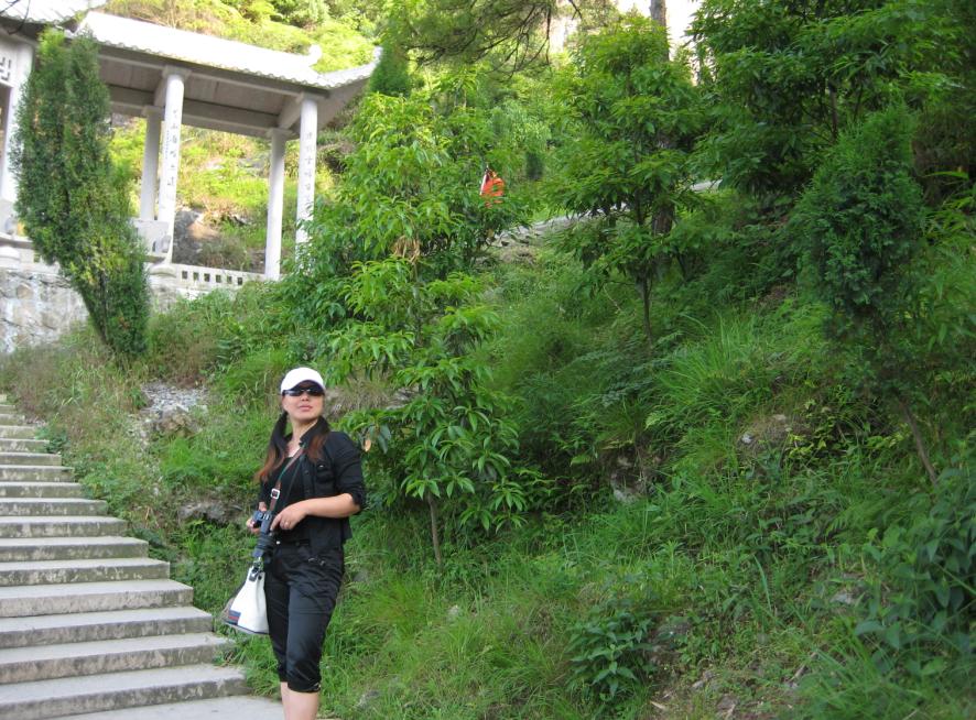 乐清市“中雁杯”登山比赛掠影