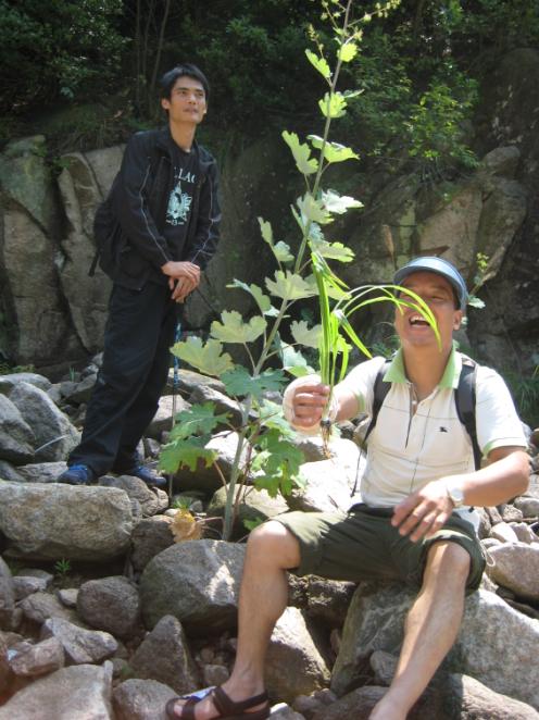 [天台驴友俱乐部]活动之____戏水石桥坑