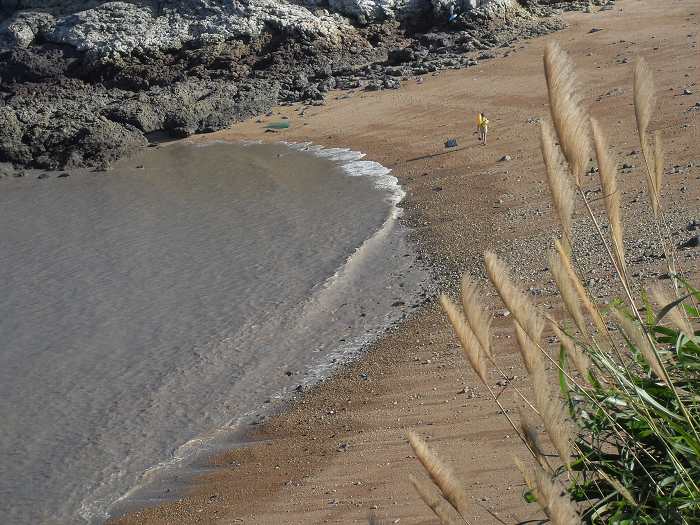怡情踏浪沙镬岛