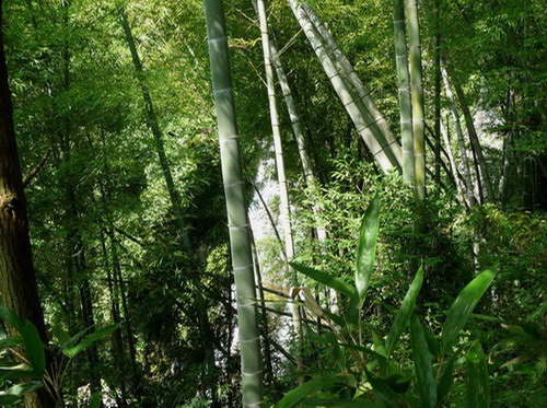 欢迎来兰田游赏