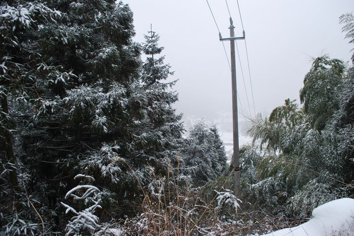 2010年第一场雪