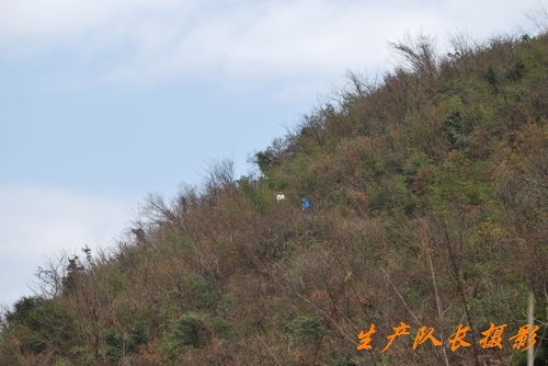 挺进大雷山
