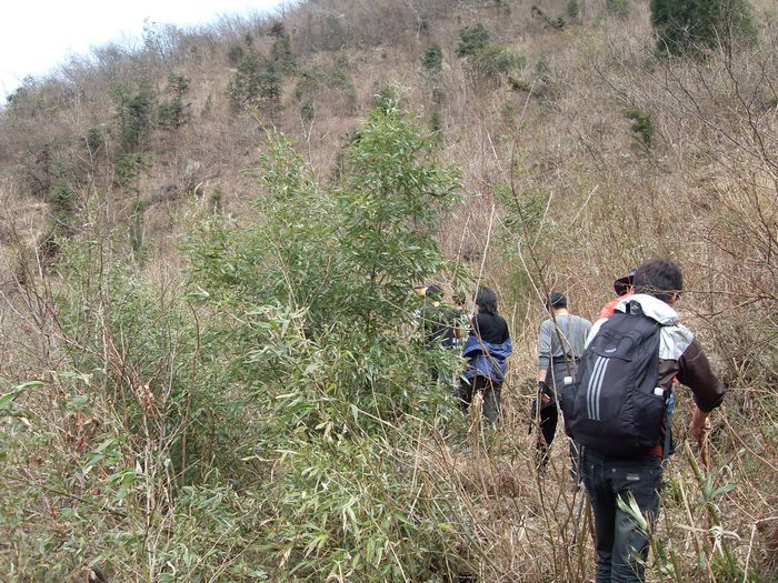 挺进大雷山
