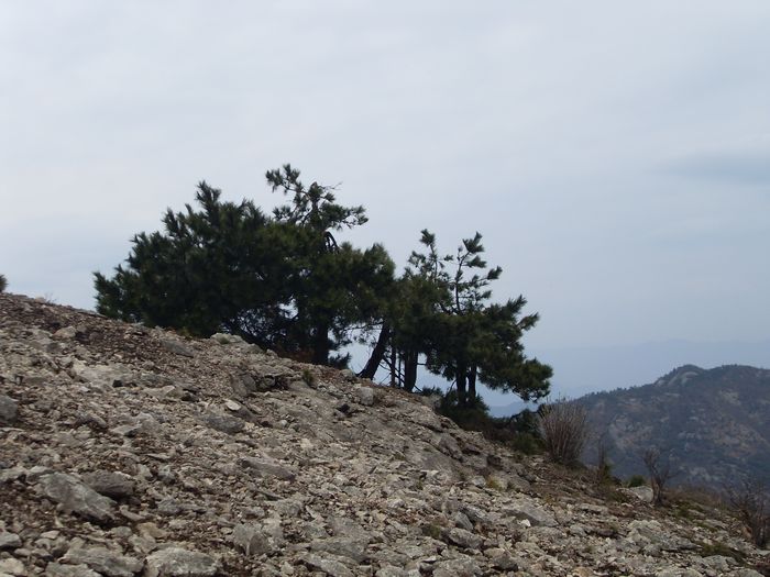 挺进大雷山