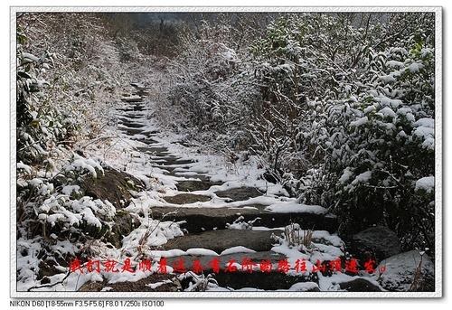 踏雪九龙殿
