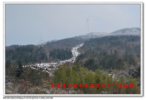 踏雪九龙殿