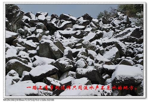 踏雪九龙殿