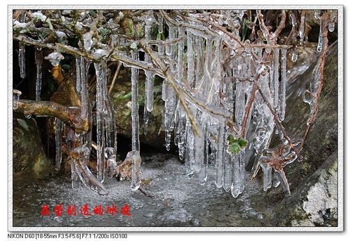 踏雪九龙殿