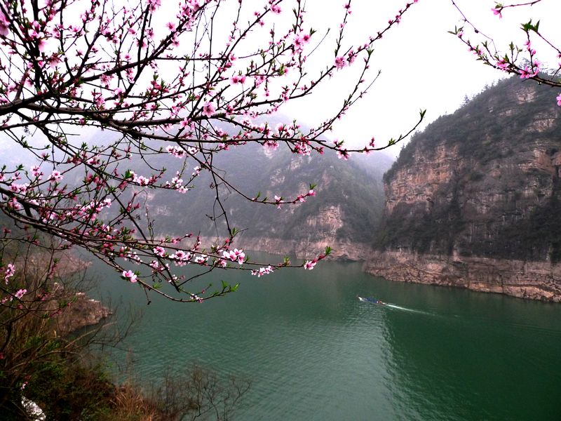 [原创]一次没有计划的长江三峡之旅