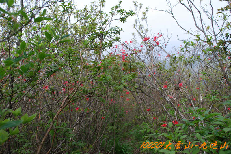 DSC_9658.jpg