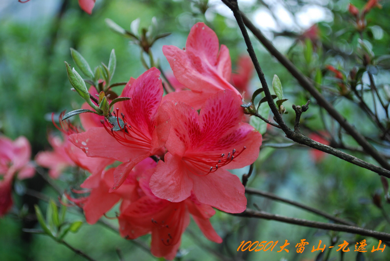 DSC_9659.jpg