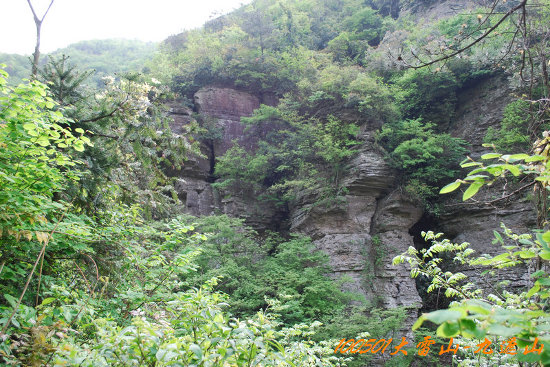 DSC_9674.jpg