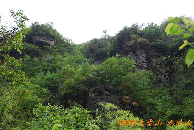 DSC_9678.jpg