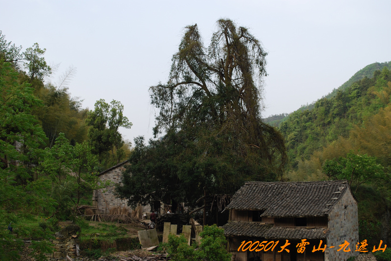 DSC_9683.jpg