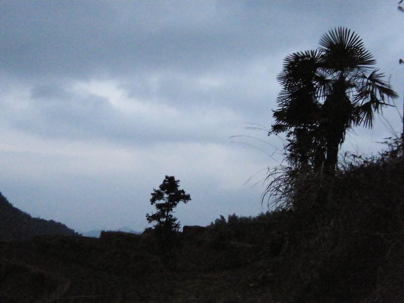 DSCF4361.JPG