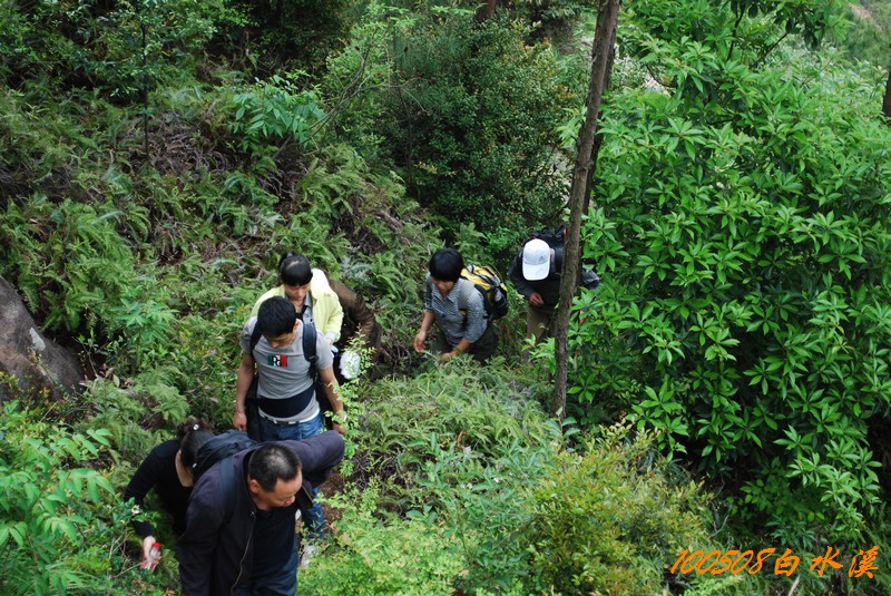 DSC_9766.jpg