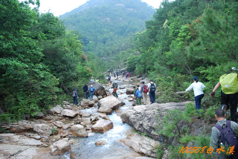 DSC_9924.jpg