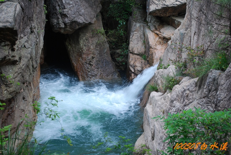 DSC_9921.jpg