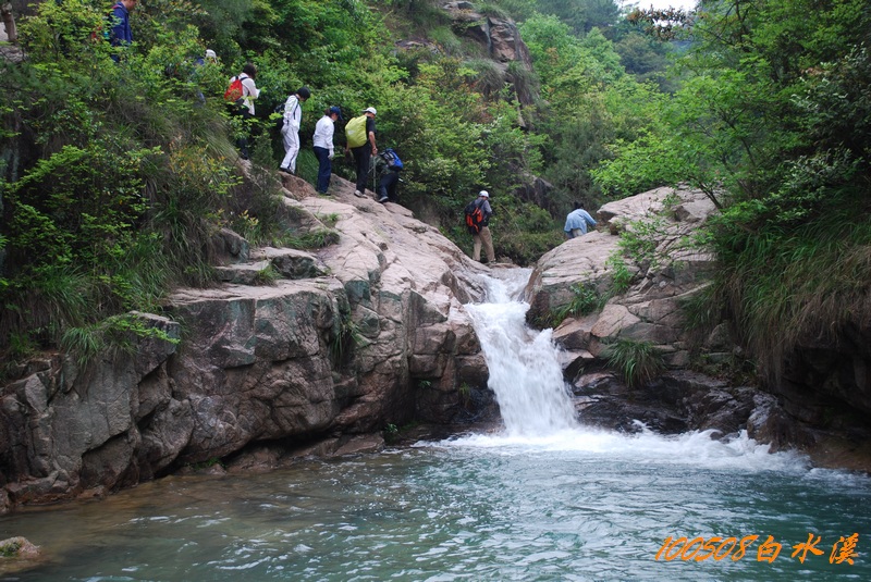 DSC_9968.jpg