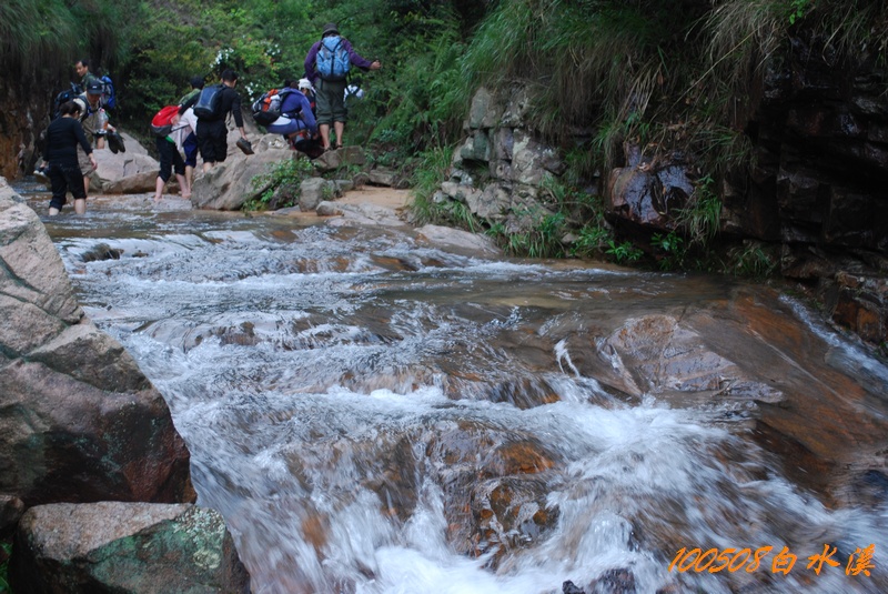 DSC_9972.jpg