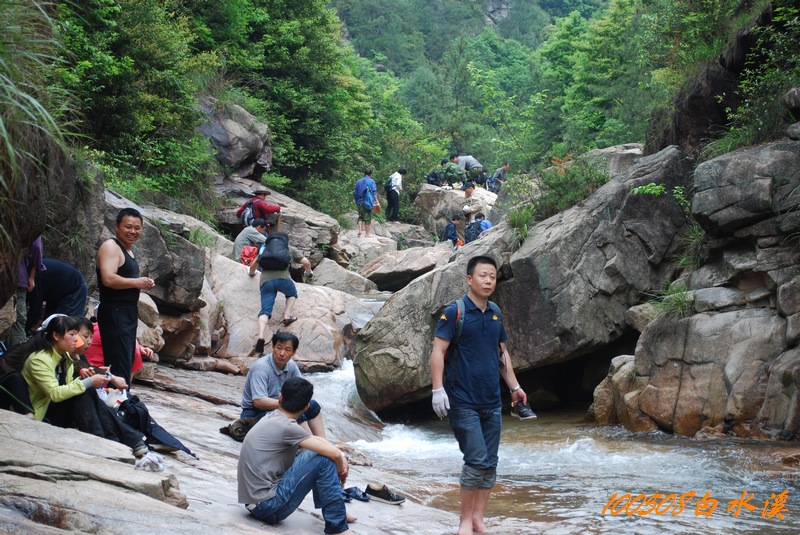 DSC_9990.jpg