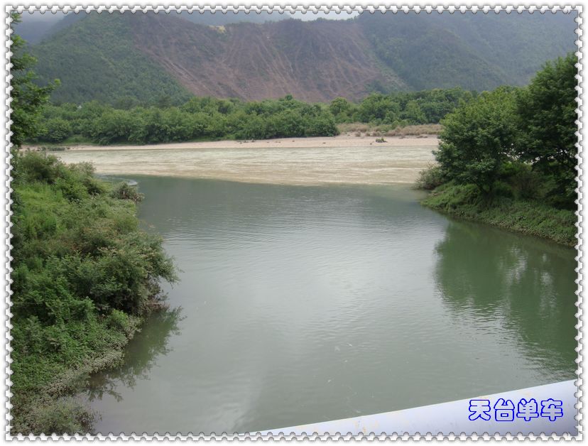 青黄交接.jpg