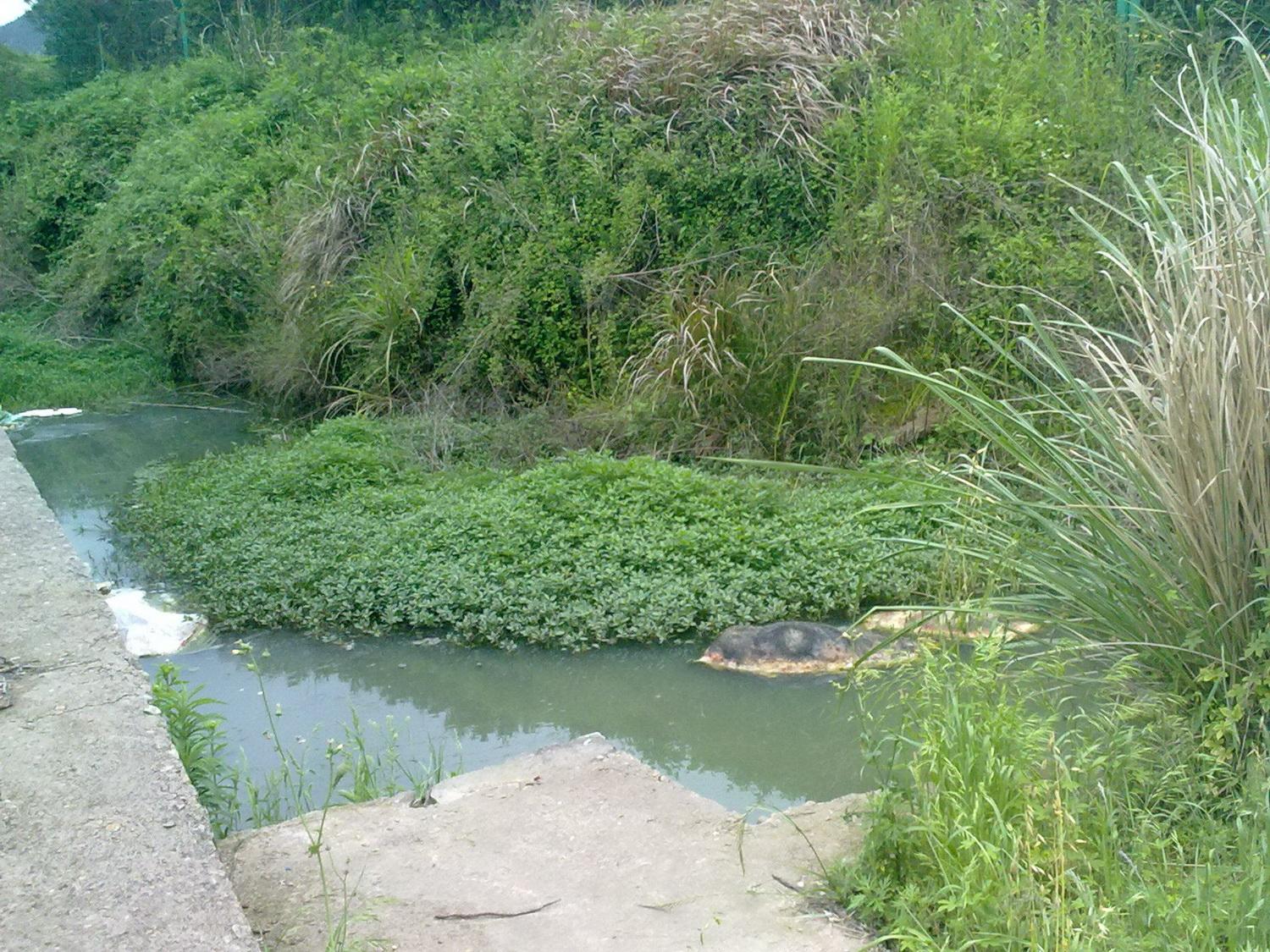 20100516079.jpg