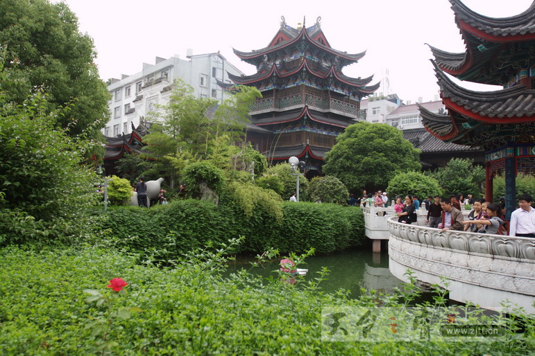 IMG_4594_缩小大小.JPG