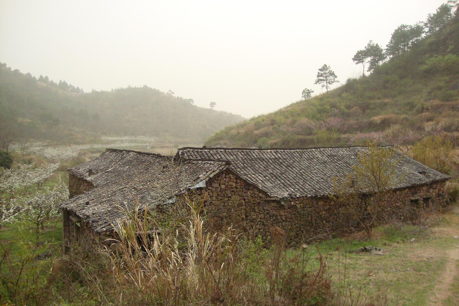 DSC01117.JPG