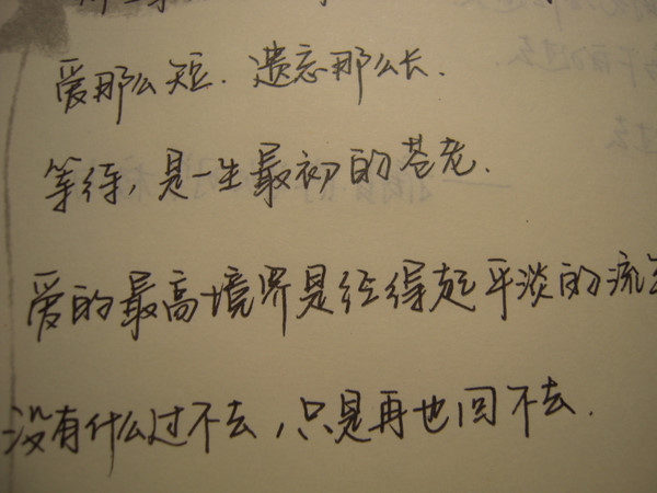 p_large_GCdf_1d8c0001952b2d0b.jpg