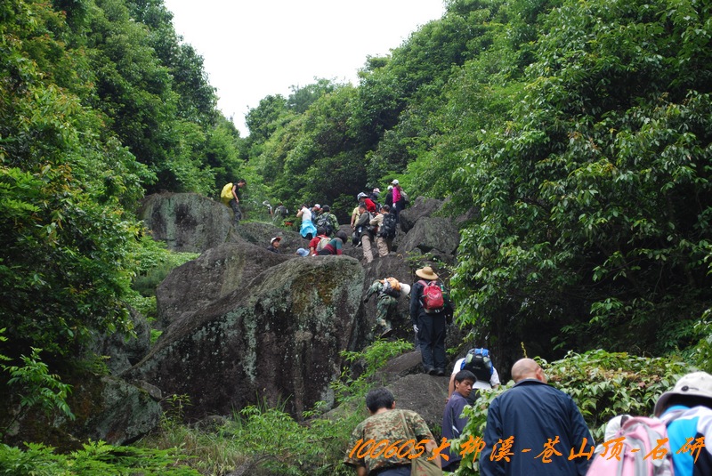 100605大柳溪 235.jpg