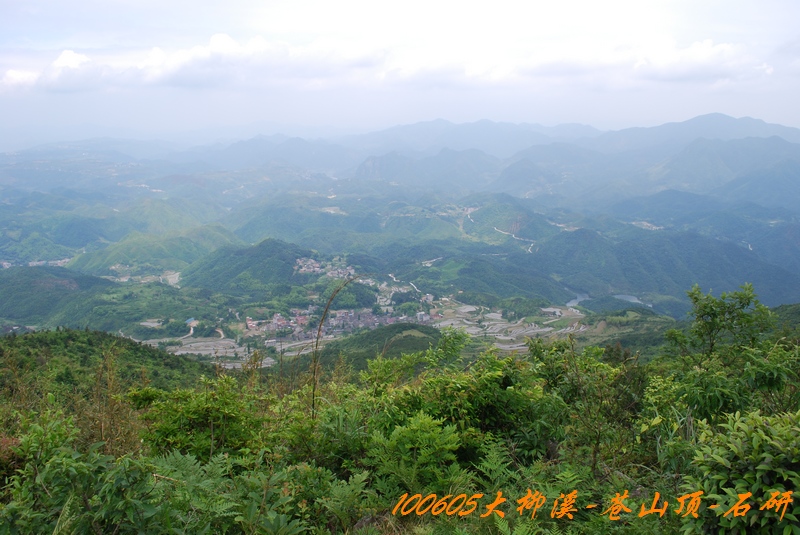 100605大柳溪 262.jpg