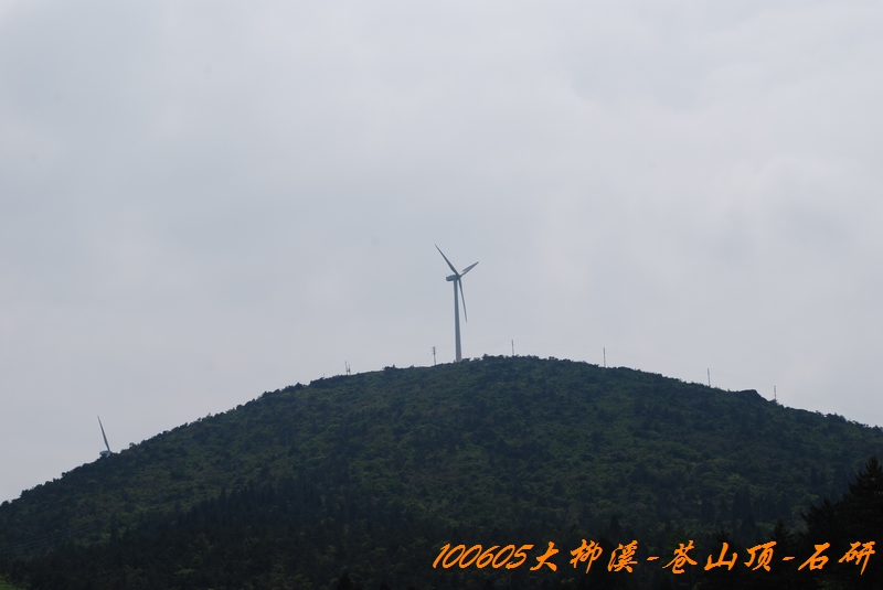 100605大柳溪 263.jpg