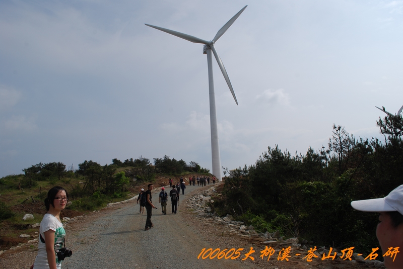 100605大柳溪 318.jpg