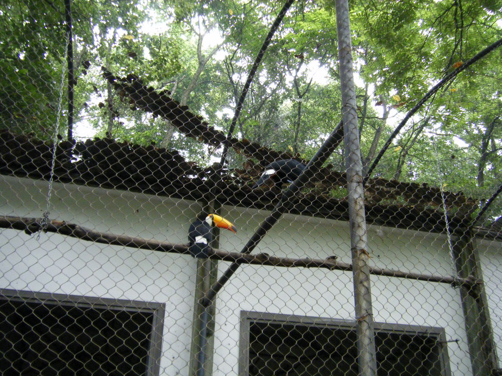 DSCF7159.JPG