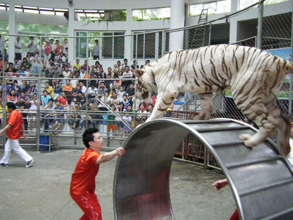 DSCF7182.JPG