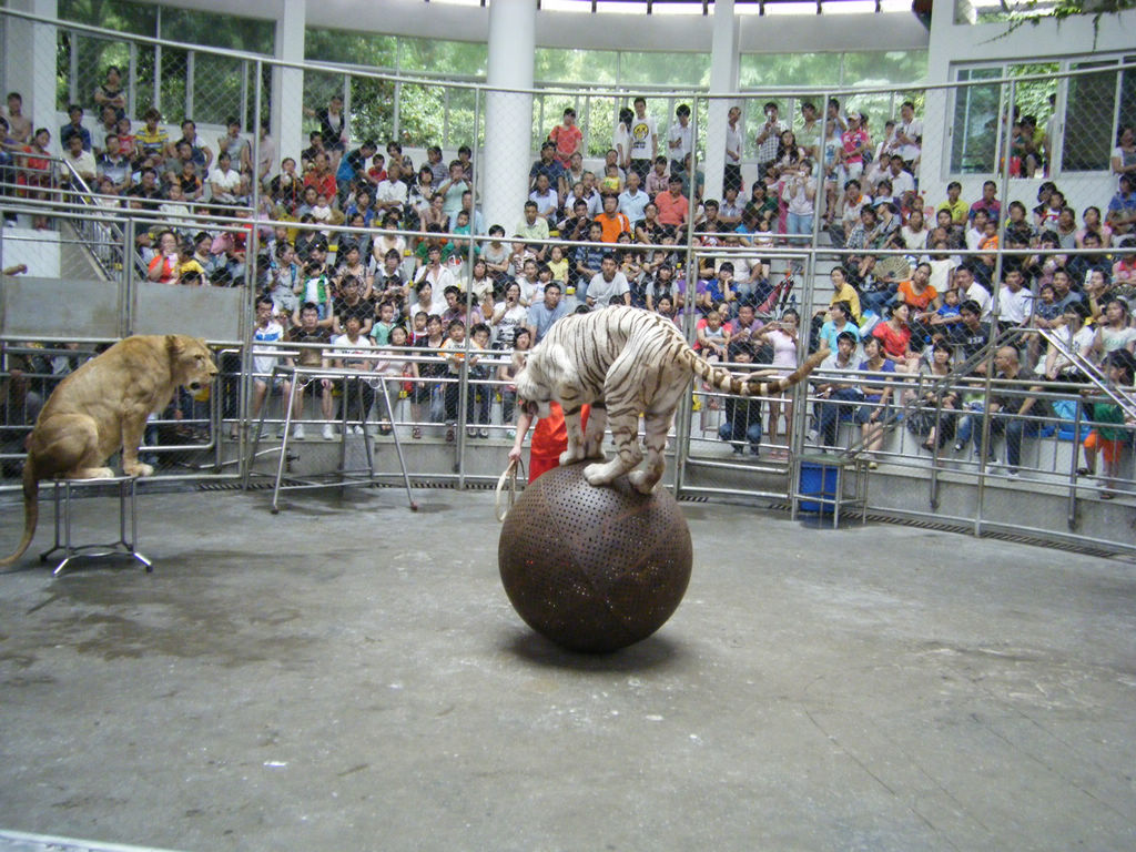 DSCF7183.JPG