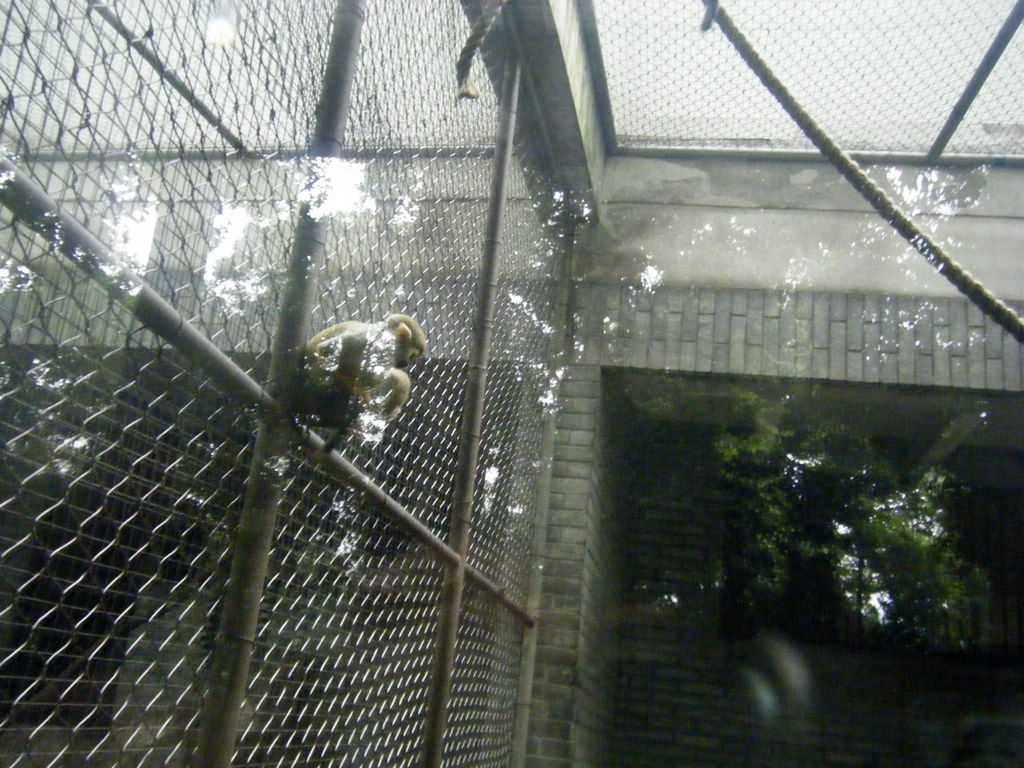 DSCF7214.JPG