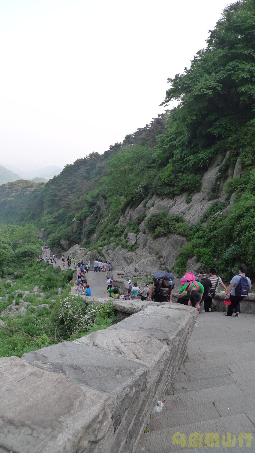 泰山18盘