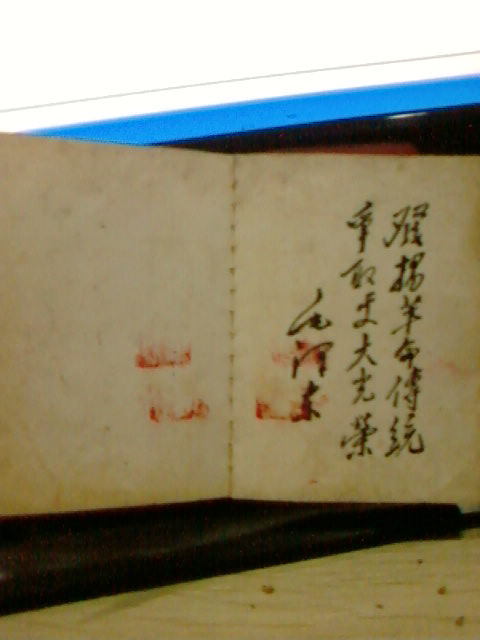 SP_A0429.jpg
