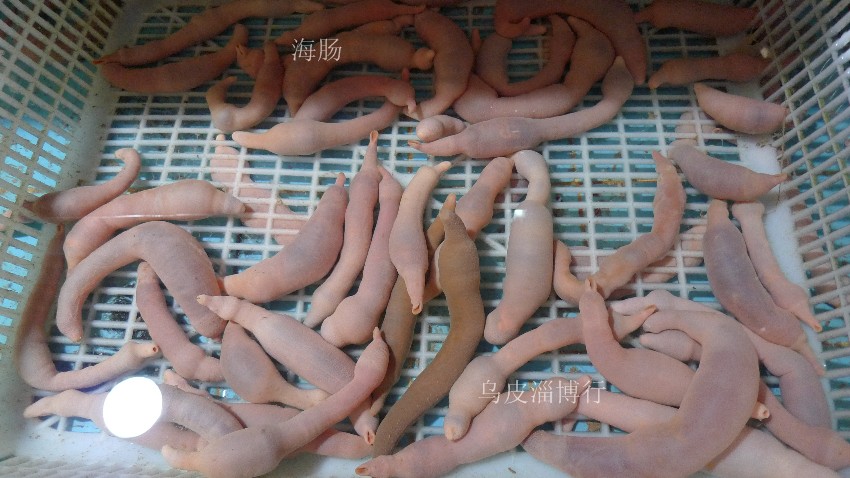 209.jpg